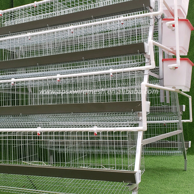 Galvanized Layer Chicken Cage Battery Hen 3 / 4 Tiers With Automatic System