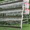 Galvanized Layer Chicken Cage Battery Hen 3 / 4 Tiers With Automatic System